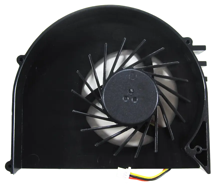 fan